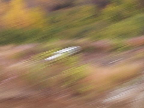 1990 Chevrolet Suburban - A blurry scene shows a silver object against a backdrop of autumn foliage.