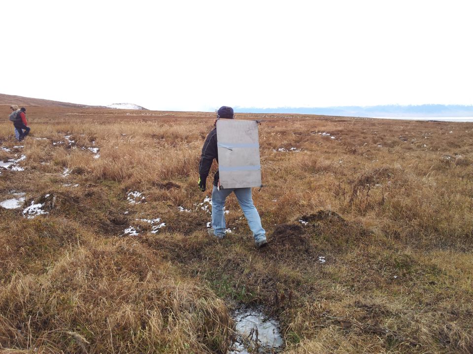 Two people walk across a dry, grassy field under a cloudy sky. One person carries a large, flat object on their back