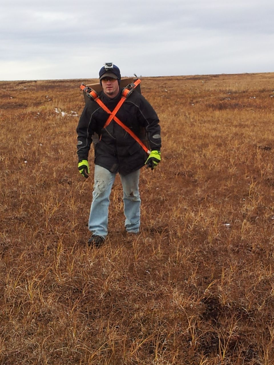 Man in a black jacket, blue jeans, and yellow gloves carries a large backpack with orange straps across a dry, grassy field under an overcast sky
