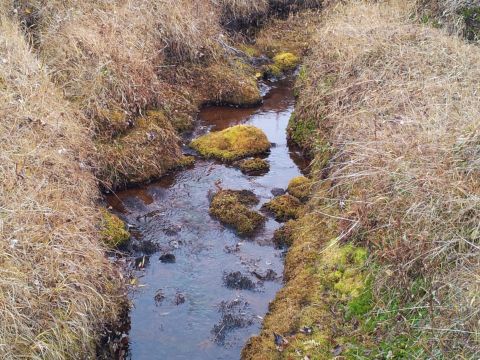 1990 Chevrolet Suburban - A narrow stream winds through a landscape of dry grass and mossy rocks.