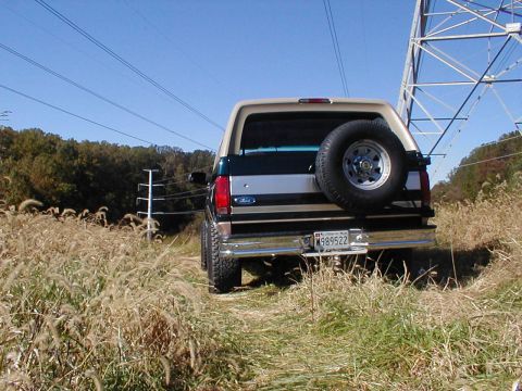 1995 Ford Bronco - Rear view of a 1995 Ford Bronco, showing its spare tire and license plate, in a natural setting.