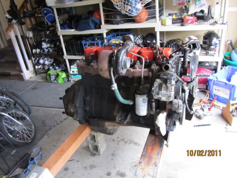 1984 Ford Bronco - Close-up of engine components and various tools laid out on a surface.