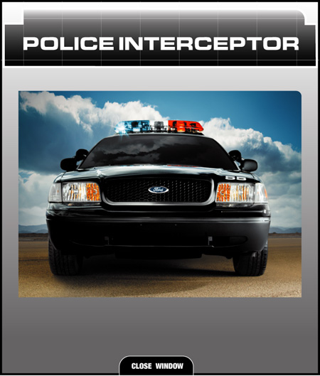 1995 Ford Crown Victoria photo