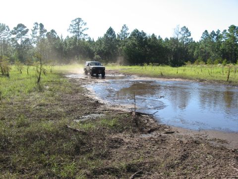 1994 Ford Bronco - A Ford Bronco navigates a water-filled dirt track surrounded by trees and dry grass.