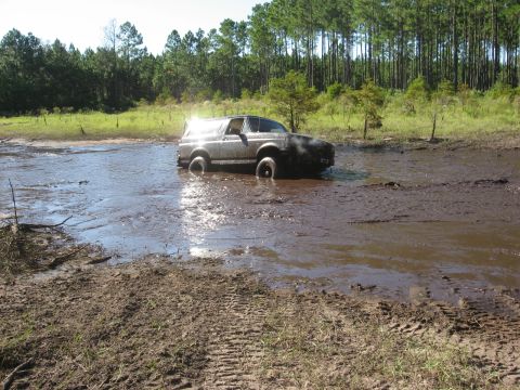 1994 Ford Bronco - A Ford Bronco is partially submerged in a muddy waterhole, with trees lining the horizon.