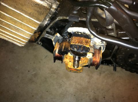 1999 Tomos Targa - Close-up of a rusty motorcycle stator, showing copper windings and electrical components.