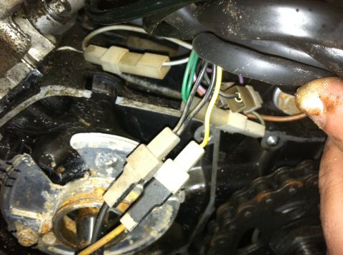 1999 Tomos Targa - A close-up view of electrical connectors and a drive chain within a motorcycle engine compartment.