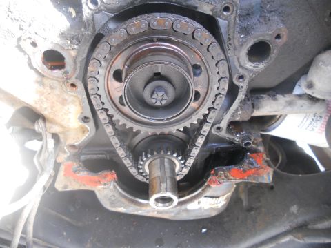 1991 Ford Bronco - Engine timing chain and gears assembly, showing wear and some red sealant.