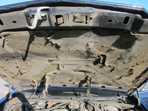 1991 Ford LTD Crown Victoria - The engine bay of a 1991 Ford Crown Victoria LTD shows significant wear on the hood insulation.