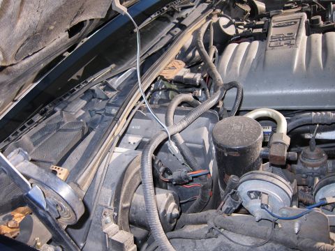 1991 Ford LTD Crown Victoria - A close-up view of the engine bay shows a complex arrangement of hoses and wiring harnesses.