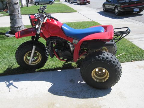 1983 Honda 250 R photo