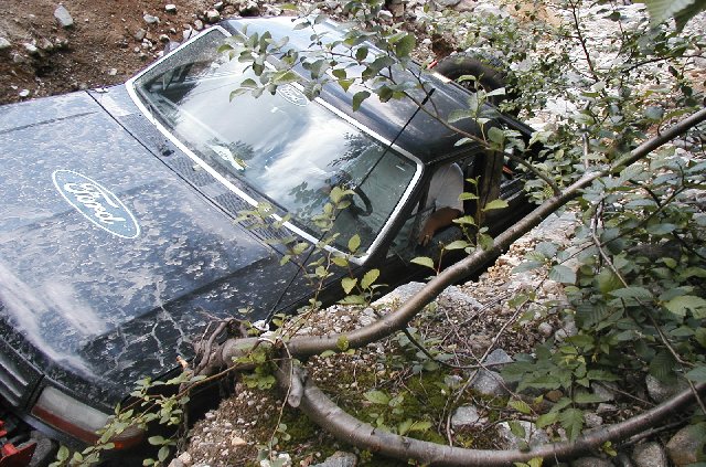 Overhead view of dusty dark Ford truck hood with Ford oval decal wedged in rocks and brush