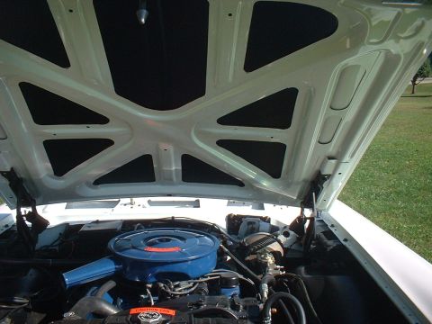 1967 Ford Galaxie “Greg's Gal”