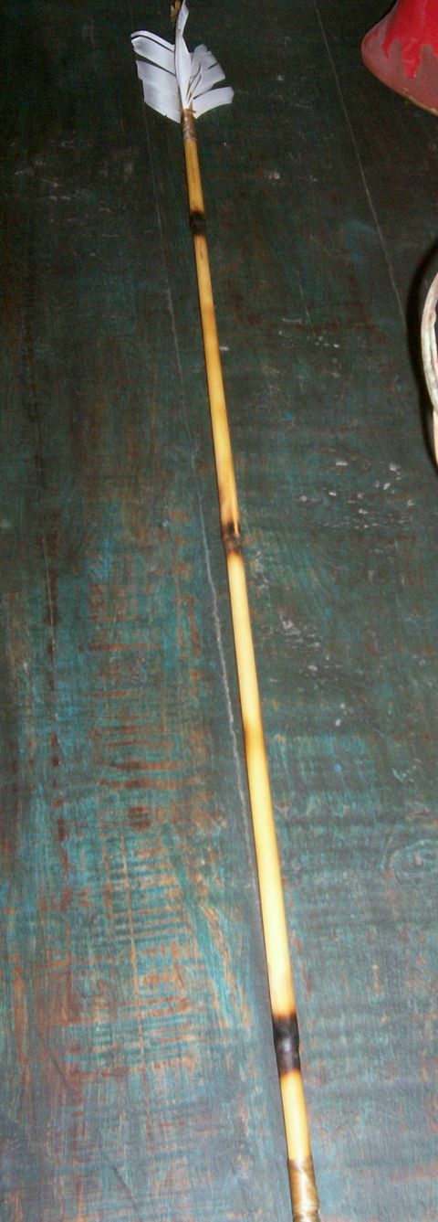 1993 Ford Bronco - This is a photo of an arrow with fletching and a bamboo shaft, not a vehicle.