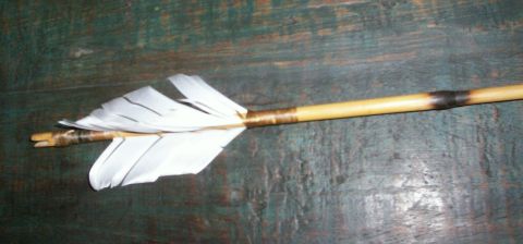1993 Ford Bronco - An arrow with white feathers and a bamboo shaft is shown against a textured green background.