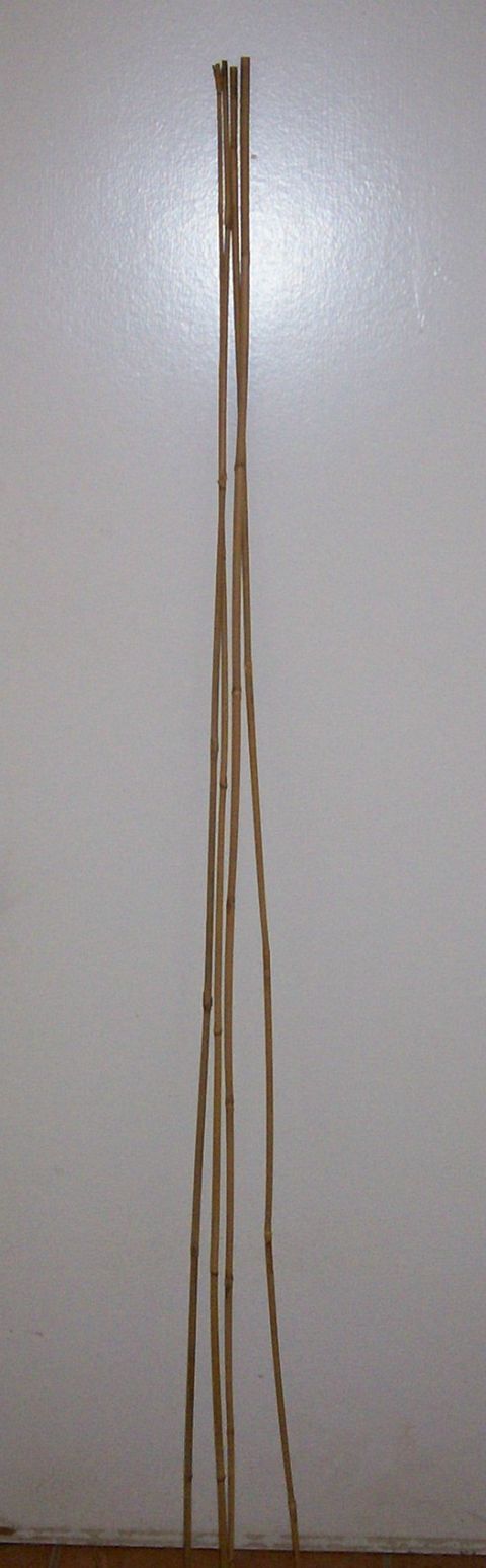 1993 Ford Bronco - Several bamboo poles are bundled together and stand upright against a plain wall, with a website logo visible at the base.