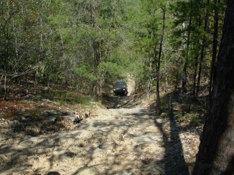 1983 Ford Bronco - Fun Run