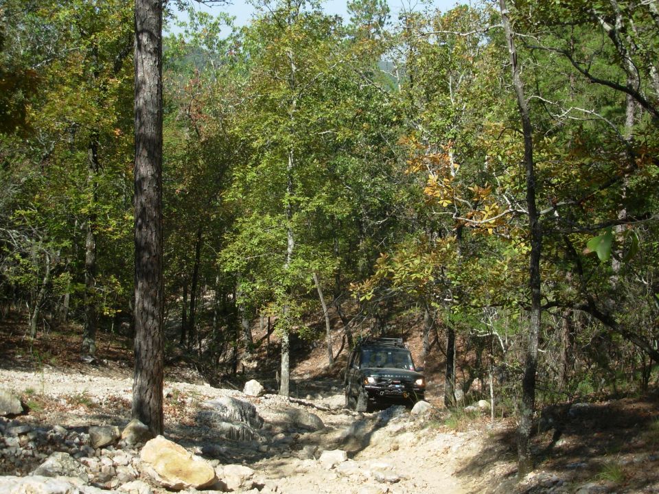 Dark SUV on a rocky trail among autumn forest trees