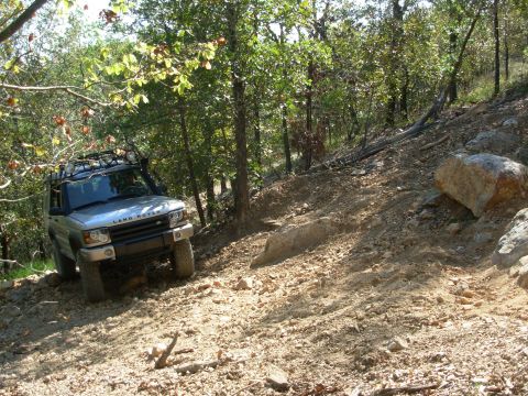 1983 Ford Bronco - Wrangler Rocks