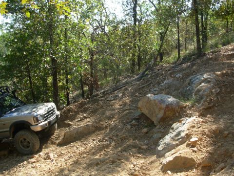 1983 Ford Bronco - Wrangler Rocks