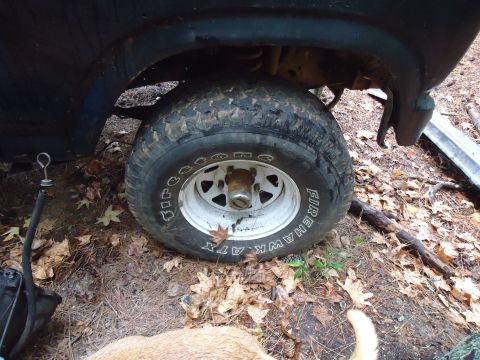 1985 Ford Bronco - A close-up view of a vehicle's wheel and part of the fender, set against a backdrop of fallen leaves and dirt.