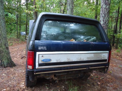 1985 Ford Bronco - Rear view of a 1985 Ford Bronco parked in a wooded area. It has a dark blue body and silver tailgate trim.