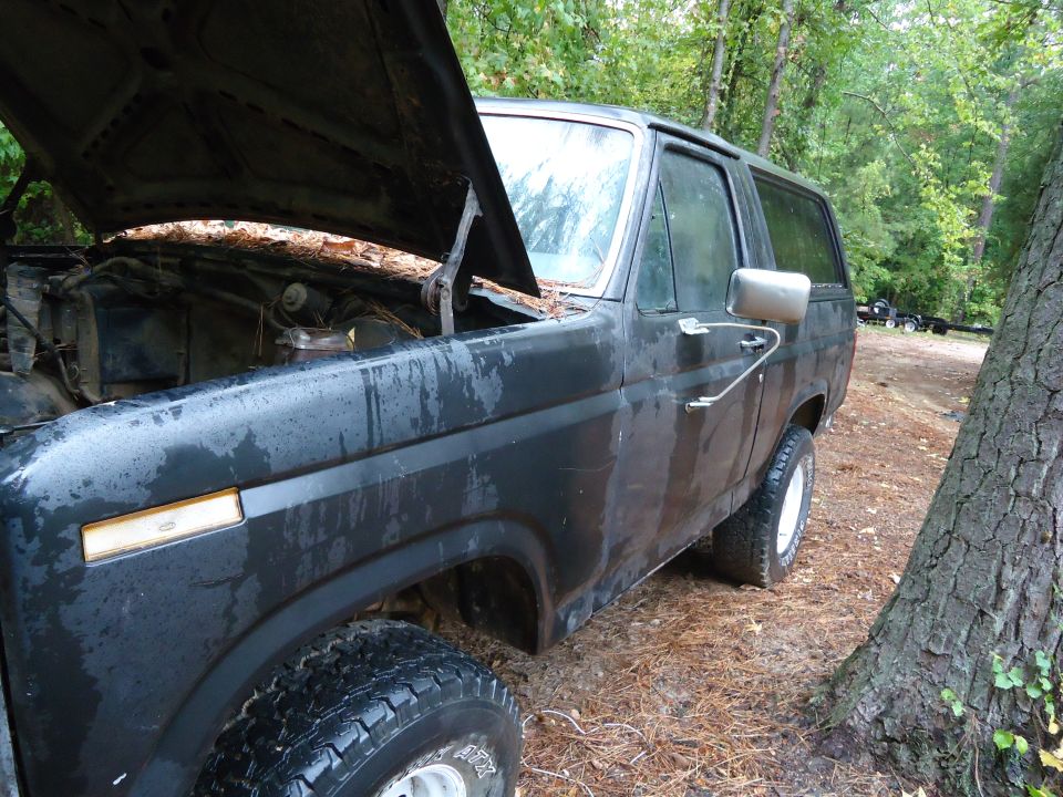 Old black Ford Bronco with hood open, parked outside near trees
