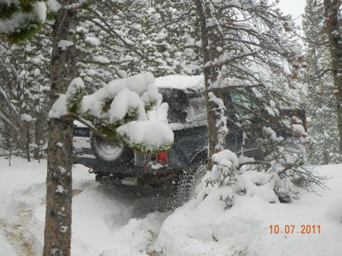 1996 Ford Bronco - A dark SUV navigates a snowy forest trail, kicking up snow as it drives.