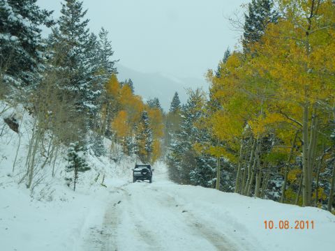 1996 Ford Bronco - A black SUV navigates a snow-covered road lined with trees displaying autumn colors.