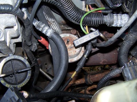 2000 Ford Explorer photo