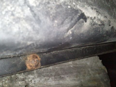 1994 Ford Bronco - Close-up of a rusted bolt on the underside of a vehicle, suggesting potential corrosion issues.