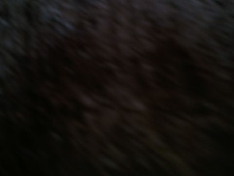1994 Ford Bronco - The image shows a dark, out-of-focus interior of a vehicle, making specific identification impossible.