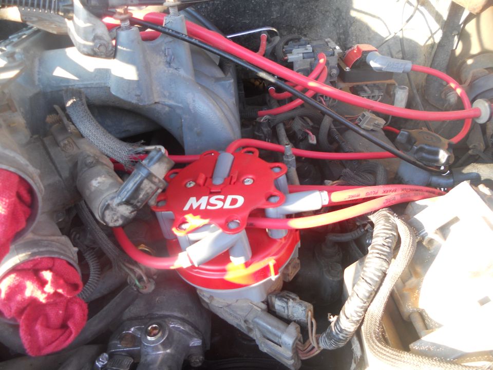 MSD distributor cap and red spark plug wires in an engine bay