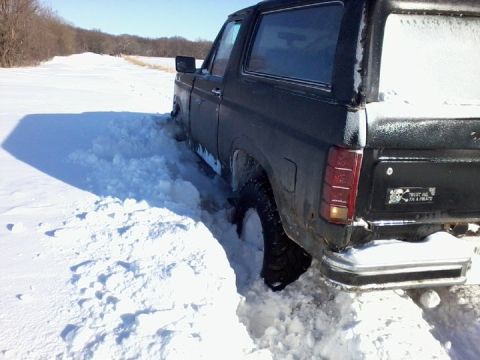 1986 Ford Bronco - This 1986 Ford Bronco appears to be stuck in a snowdrift, viewed from the rear.