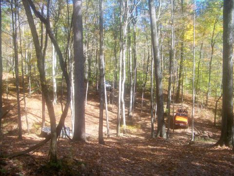 1989 Ford Bronco - Two vehicles are visible in a wooded area during autumn, with fallen leaves on the ground.