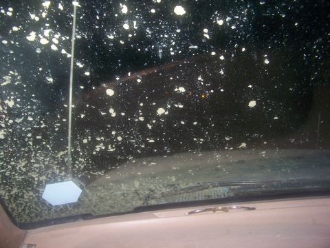 1989 Ford Bronco - The interior of a 1989 Ford Bronco is viewed through a heavily splattered windshield.
