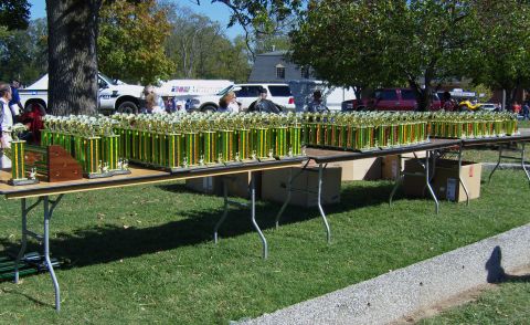 2007 Ford Mustang - Numerous trophies are set up on tables at an outdoor event, with vehicles visible behind them.