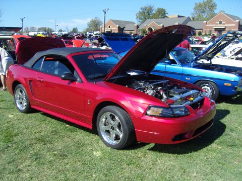 2007 Ford Mustang - Red 2007 Ford Mustang convertible at a car show, hoods open to display engines.