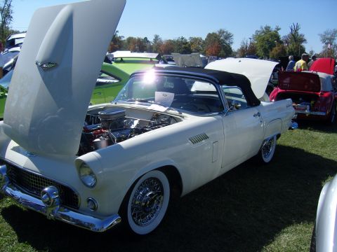 2007 Ford Mustang - White 1956 Ford Thunderbird convertible on display with its hood and trunk open.