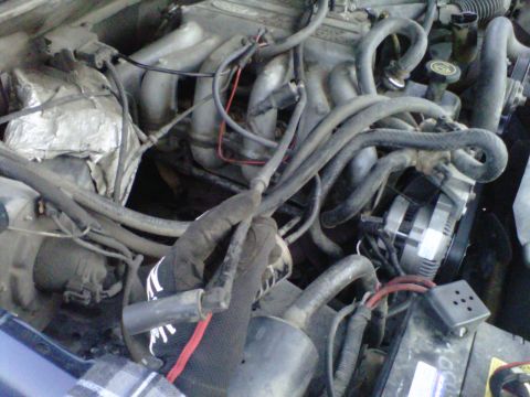 1994 Ford F-150 photo