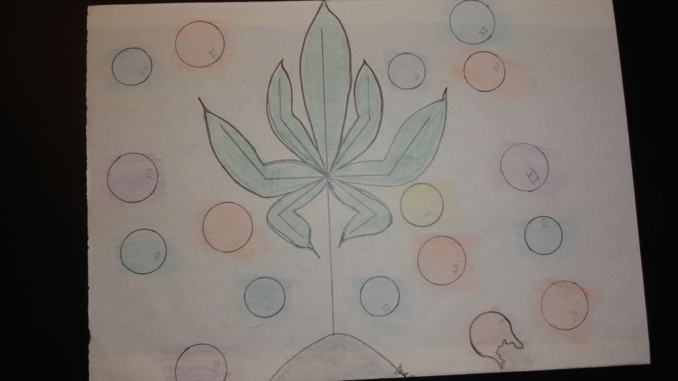 Hand-drawn artwork of a leaf surrounded by colored circles