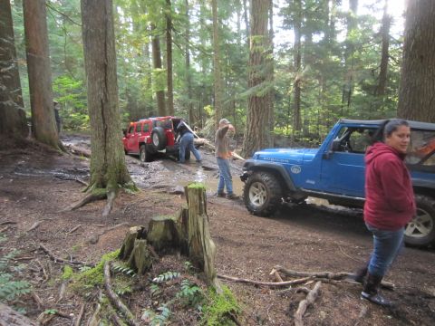 2008 Jeep Wrangler - Two Jeeps navigate a muddy trail in a wooded area, with one vehicle appearing to assist the other.