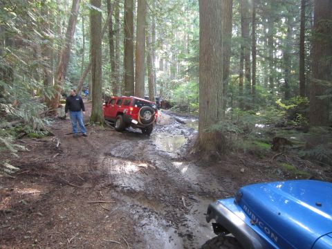 2008 Jeep Wrangler - Off-roading adventure on a muddy forest trail with multiple vehicles.