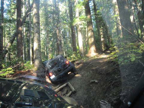 2008 Jeep Wrangler - Two Jeeps navigate a challenging, muddy path through a dense forest with tall trees.