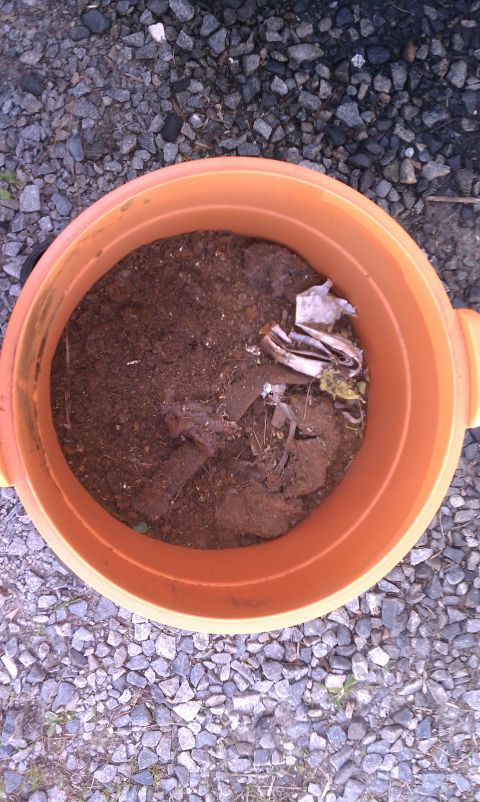 1979 Ford Bronco - An orange bucket contains dirt and debris, sitting on a bed of gravel.