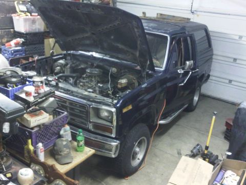 1985 Ford Bronco - The front grille and headlight design indicate this is an earlier model Ford Bronco, likely from the early 1980s.