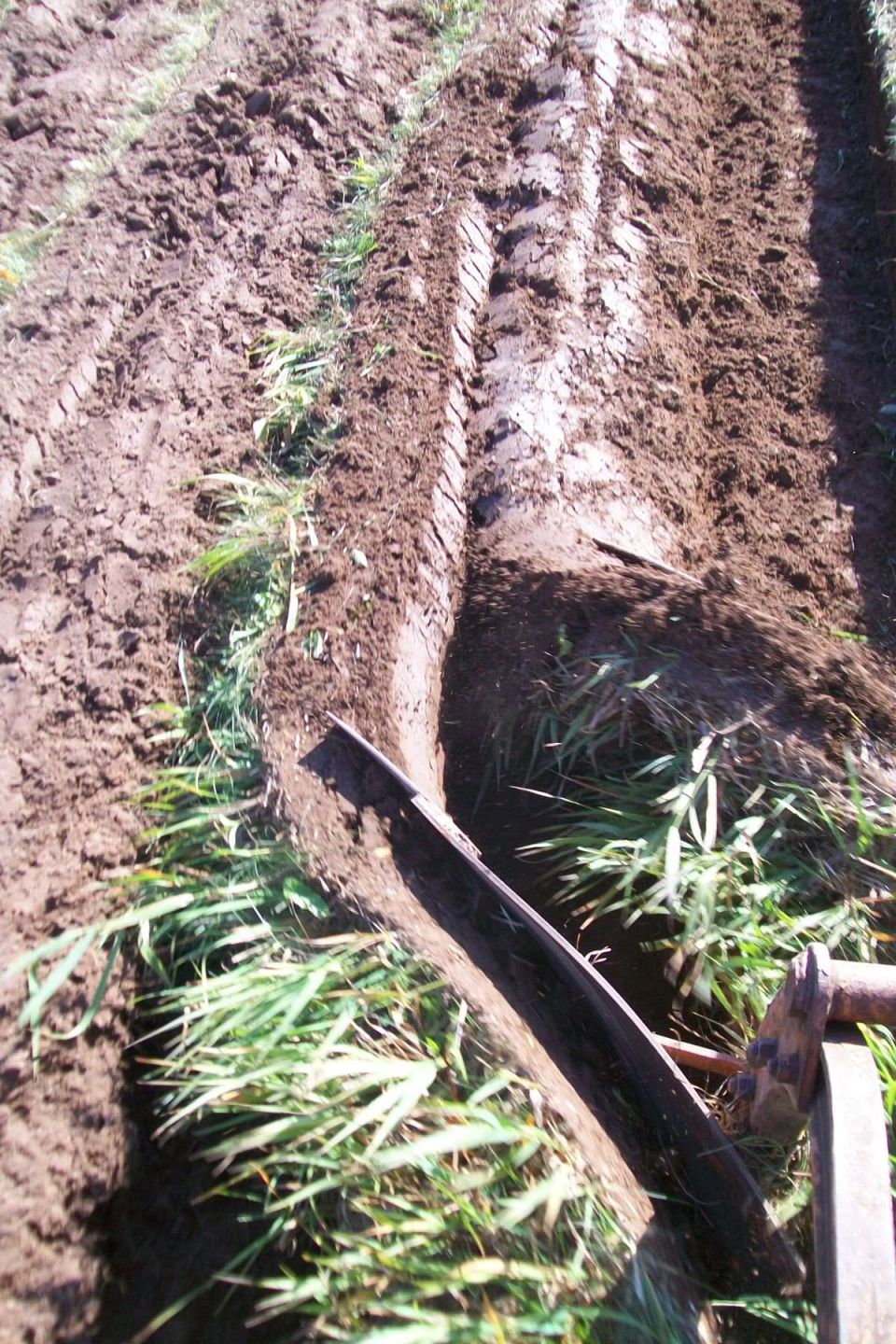 Tire tracks in a freshly plowed field with grass growing alongside