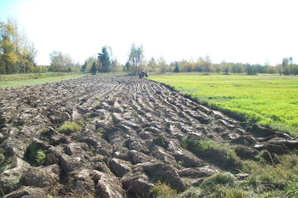 Tractor plowing a field. The ground is freshly turned earth with rows. Green grass is on the right side of the frame