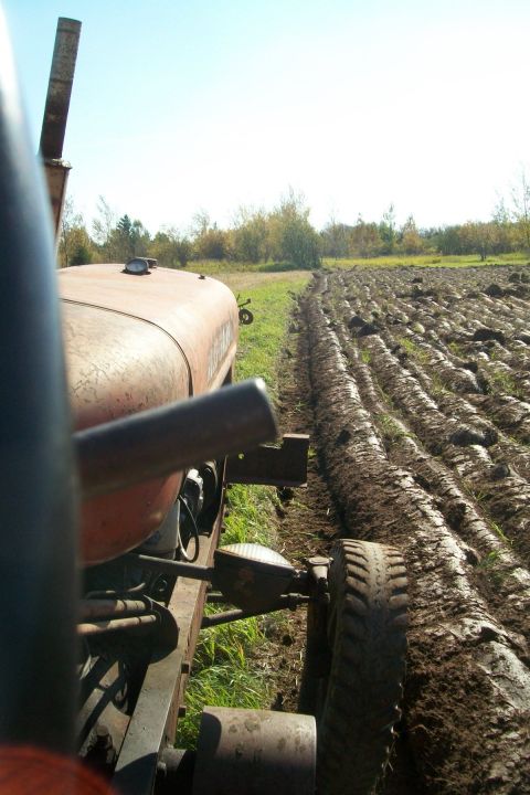 2000 Chevrolet Tahoe - A tractor is shown from the driver's perspective, plowing a field under a clear sky.