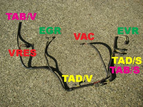 1990 Ford Bronco - A black automotive vacuum harness/hose assembly laid out on gravel pavement, with colored text labels marking connection points: TAB/V, VRE…